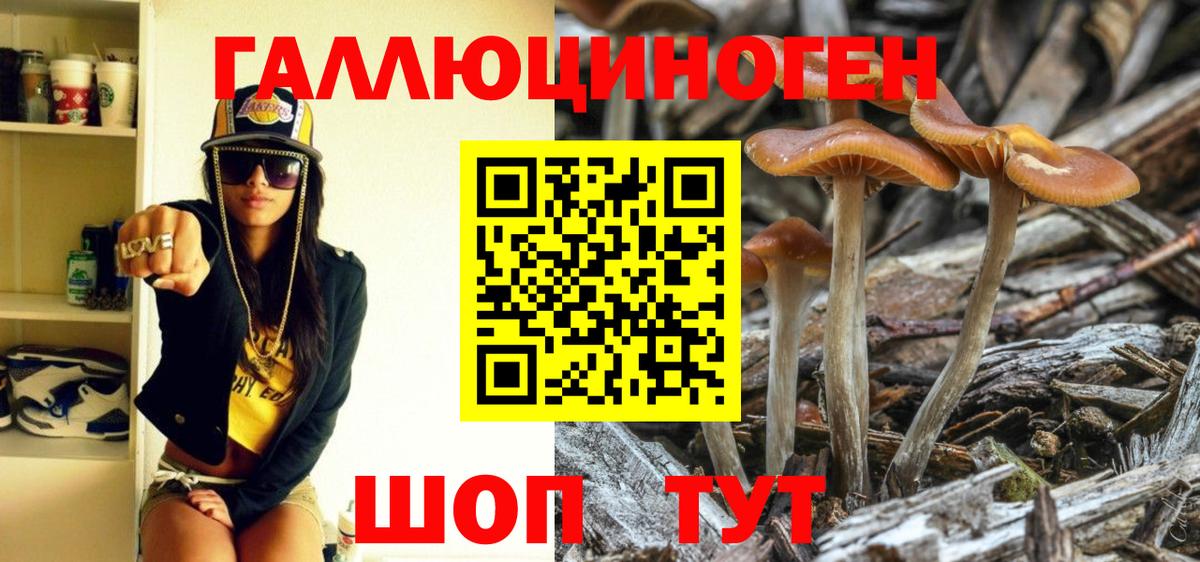 Саяногорск  Галлюциногенные грибы мухоморы  где можно купить   Вход с VPN 
