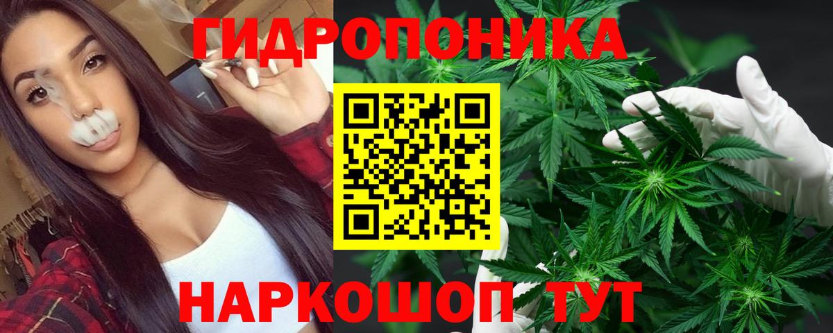Шишки марихуана индика Саяногорск